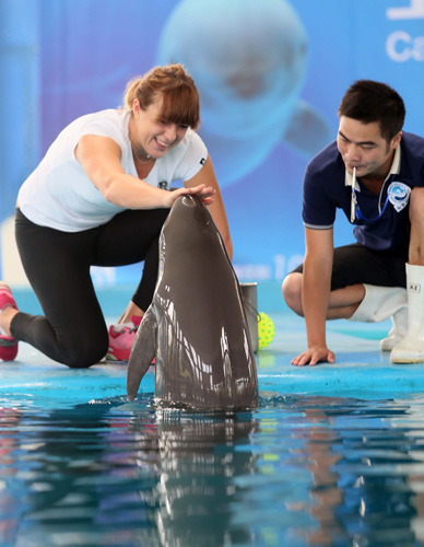 所有努力的 所有努力的