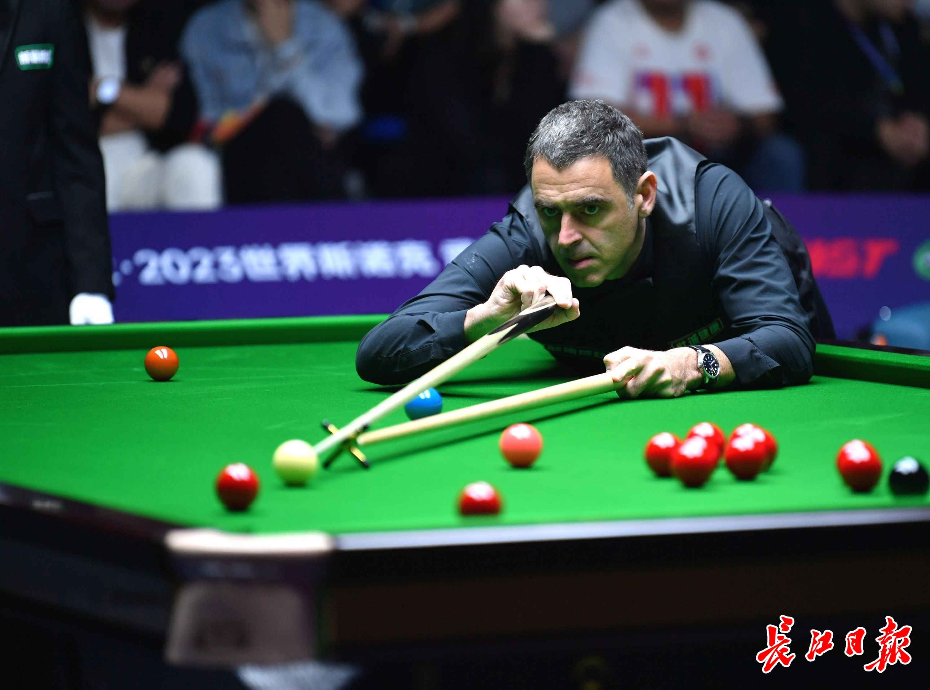 教练提供了 教练提供了