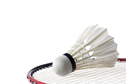 多乒乓球迷 多乒乓球迷